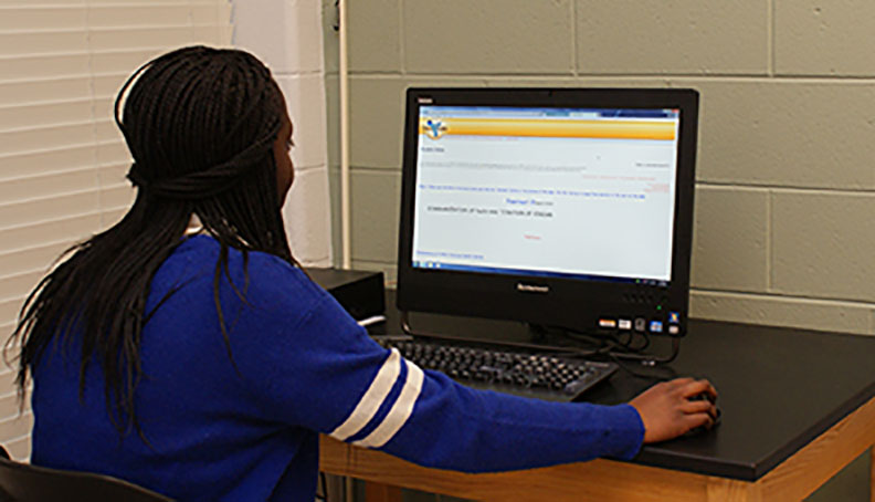Students performing the lab or submitting lab results online.
