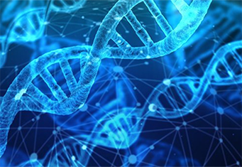 A random collection of images that changes on each page load. Some images are lab equipment, some are students performing a lab, and some are students submitting their lab results online at chem21Labs.com.